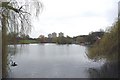 Harrow Lodge Boating Lake