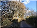 Lane near Lustleigh Mill