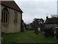 Churchyard at St Mary, Pulborough (5)