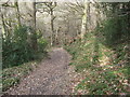 Footpath to Dipton Burn and Dipton House