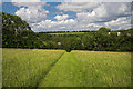 New Barn Lane Footpath Kenley