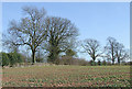 Arable land near Lower Beobridge, Staffordshire