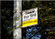 J3874 : Bus stop, Belfast by Albert Bridge