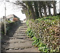 Path to North Hill, Minehead