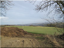 NY9961 : Pylons and Manure Heap near Dipton Cottage. by Les Hull