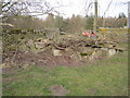 Old Well near Prospect Hill Farm