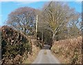 The Ynys Road north of Betws Bach