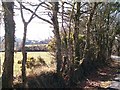 Betws Fawr Farm from a bend in the road