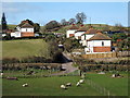 ST1839 : Houses on the hillside, Nether Stowey by Ken Grainger