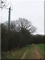 Mobile Mast in Newlands Wood