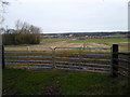N9253 : Farm Landscape, Co Meath by C O'Flanagan