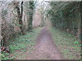 Woodland Track to Elvington Lease