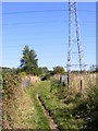 Path under the Pylons