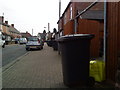 Bin day on Alexandra Crescent, Beeston