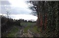 Gate on the footpath heading west from Riseden Lane