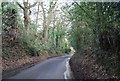 Riseden Lane looking south