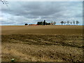 Field near Cranley