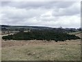 Kilsyth battlefield, Slaughter Howe