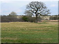 Country park, Sheldon, Birmingham