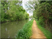 SU6369 : Kennet & Avon Canal by Mr Ignavy