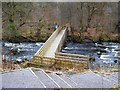 Footbridge over the River Carron