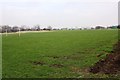 Football field near sports stadium