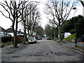 Coulsdon:  The Drive