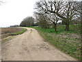 Track past Hall Farm