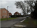 Lamppost in Elm Tree Close