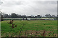 Air ambulance at East Surrey Hospital