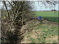 Drainage channel on Bradmore Moor