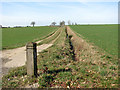 Track to Anglian Water pumping station