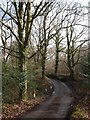 Lane in Howard Copse