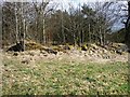 Ruined Cottage by Brackenhirst Road