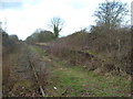 Disused Platform at Verney Junction