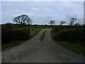 Track to Bracken Lea