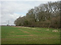 Knobcrook, field boundary