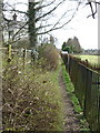 Footpath at rear of cottages in Acton Bridge