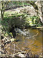 The outflow from Petty Pool Lake