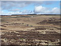 Strath of Lornty Burn