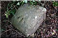 Bench Mark on a Wells Road milestone