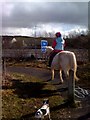 Horse on bike path