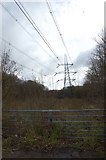TQ8521 : Electricity Pylon in Beckley Woods by Julian P Guffogg