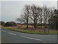 TQ4700 : Trees at junction of Hill Rise and Grand Avenue by Paul Gillett