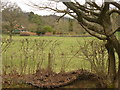 Field beside Coneyhurst Lane