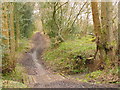 Bridleway in High Copse