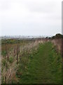 Public footpath from Cubert to Colgrease