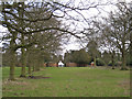 Avenue of oak, Wroxall Abbey park