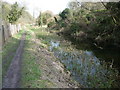 Footpath beside the Thames & Severn Canal