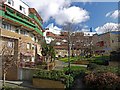 Gardens behind the Byker Wall